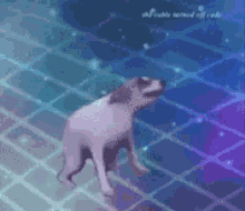 Dancing
